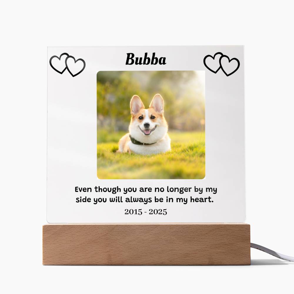 Custom Pet Memorial Plaque, Personalized Photo Acrylic Sign, LED Light Display Memorial Gift, Pet Loss Keepsake, Pet Tribute Plaque