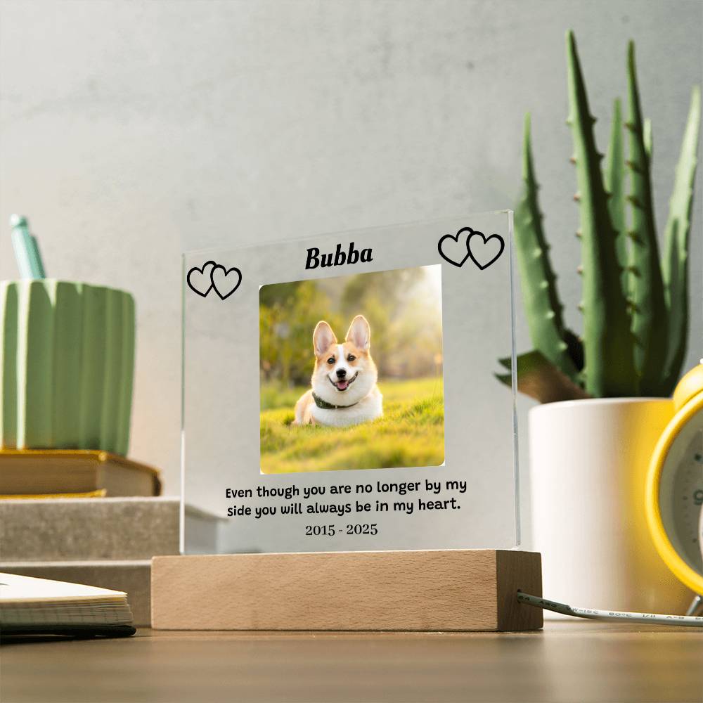 Custom Pet Memorial Plaque, Personalized Photo Acrylic Sign, LED Light Display Memorial Gift, Pet Loss Keepsake, Pet Tribute Plaque