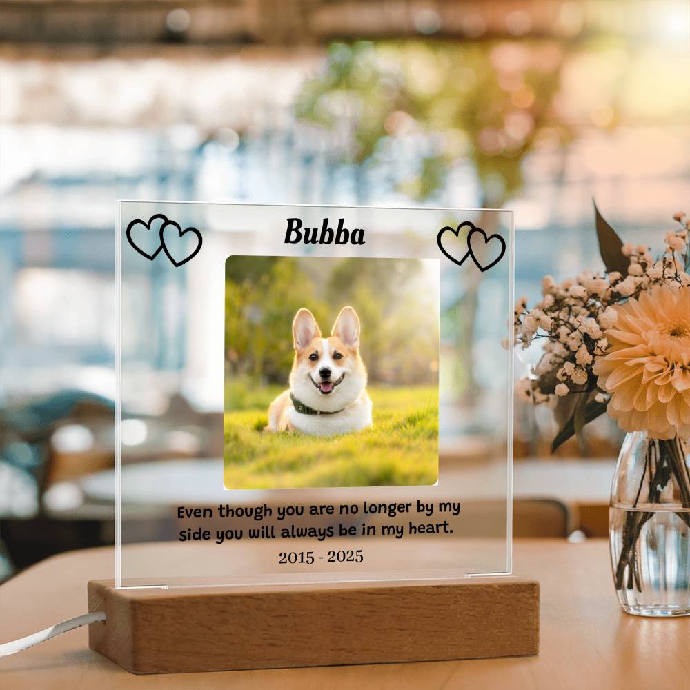 Custom Pet Memorial Plaque, Personalized Photo Acrylic Sign, LED Light Display Memorial Gift, Pet Loss Keepsake, Pet Tribute Plaque