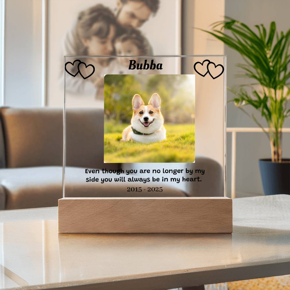 Custom Pet Memorial Plaque, Personalized Photo Acrylic Sign, LED Light Display Memorial Gift, Pet Loss Keepsake, Pet Tribute Plaque