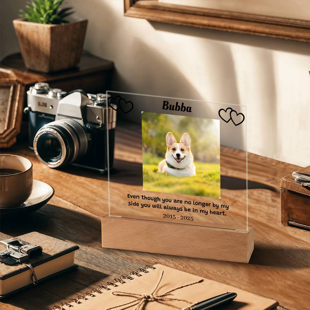 Custom Pet Memorial Plaque, Personalized Photo Acrylic Sign, LED Light Display Memorial Gift, Pet Loss Keepsake, Pet Tribute Plaque
