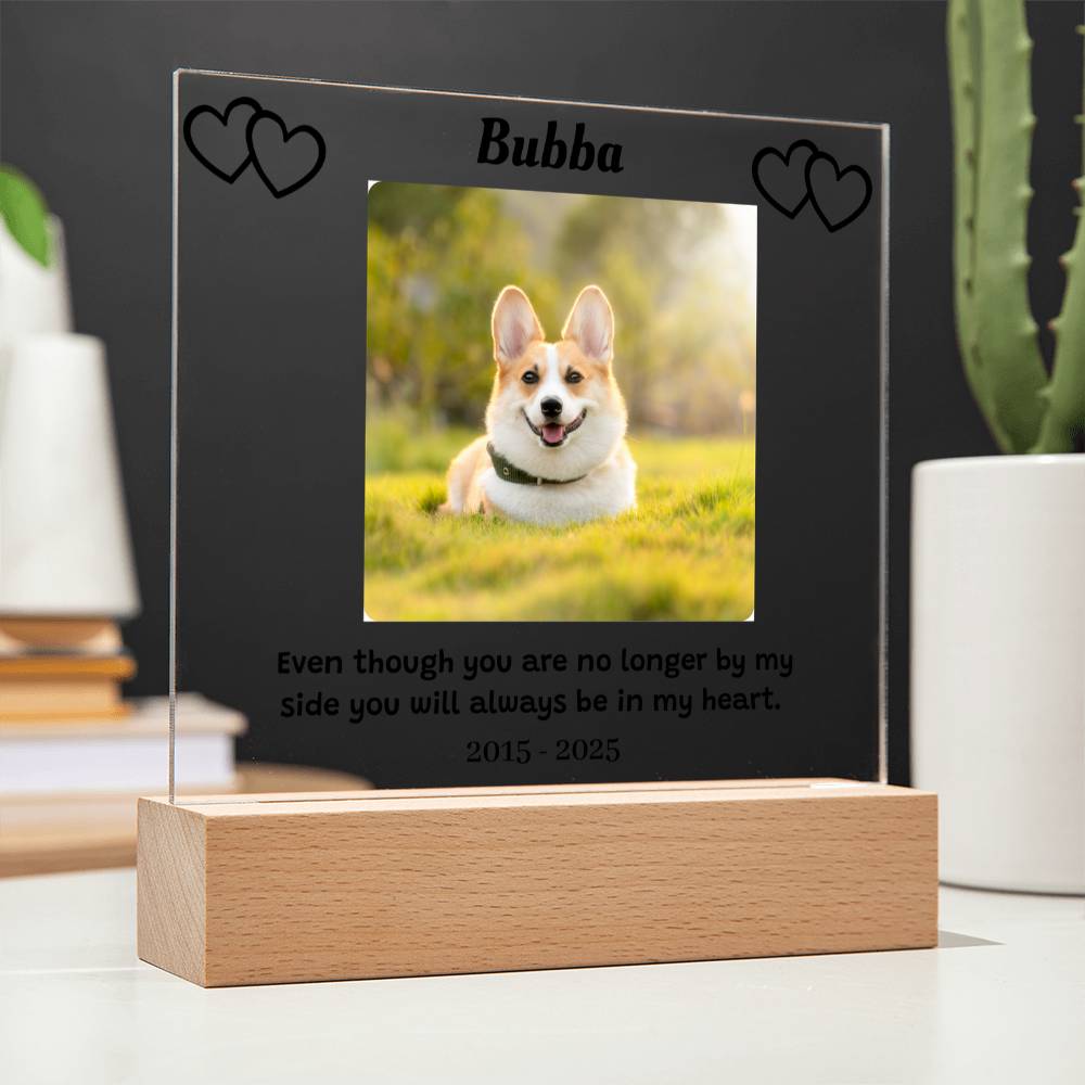 Custom Pet Memorial Plaque, Personalized Photo Acrylic Sign, LED Light Display Memorial Gift, Pet Loss Keepsake, Pet Tribute Plaque