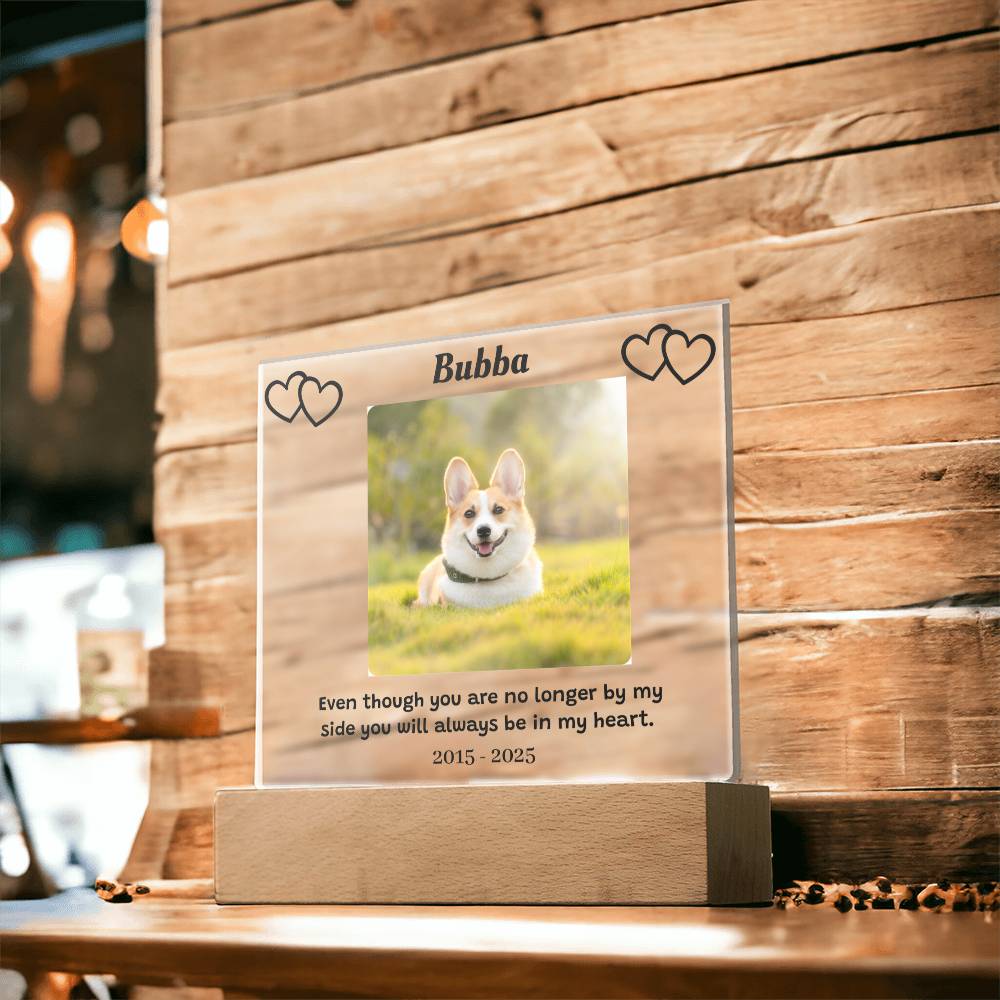 Custom Pet Memorial Plaque, Personalized Photo Acrylic Sign, LED Light Display Memorial Gift, Pet Loss Keepsake, Pet Tribute Plaque