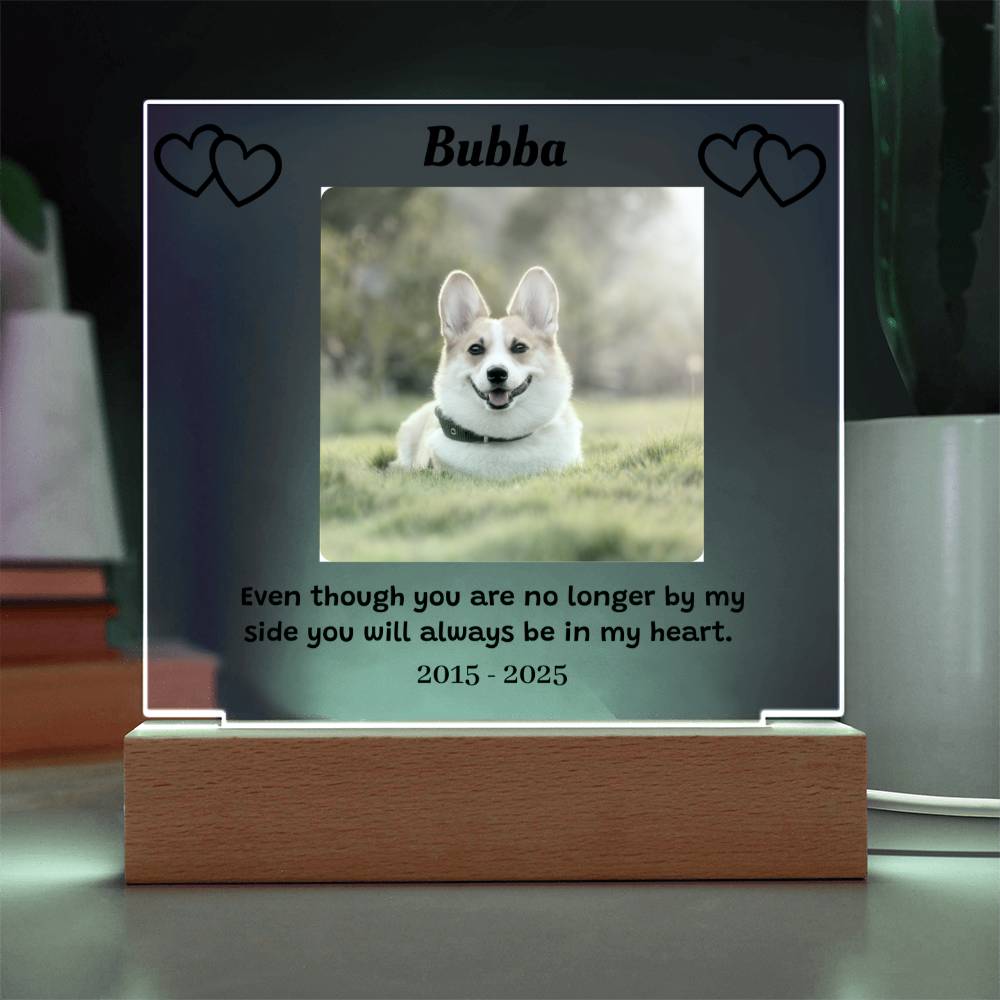 Custom Pet Memorial Plaque, Personalized Photo Acrylic Sign, LED Light Display Memorial Gift, Pet Loss Keepsake, Pet Tribute Plaque