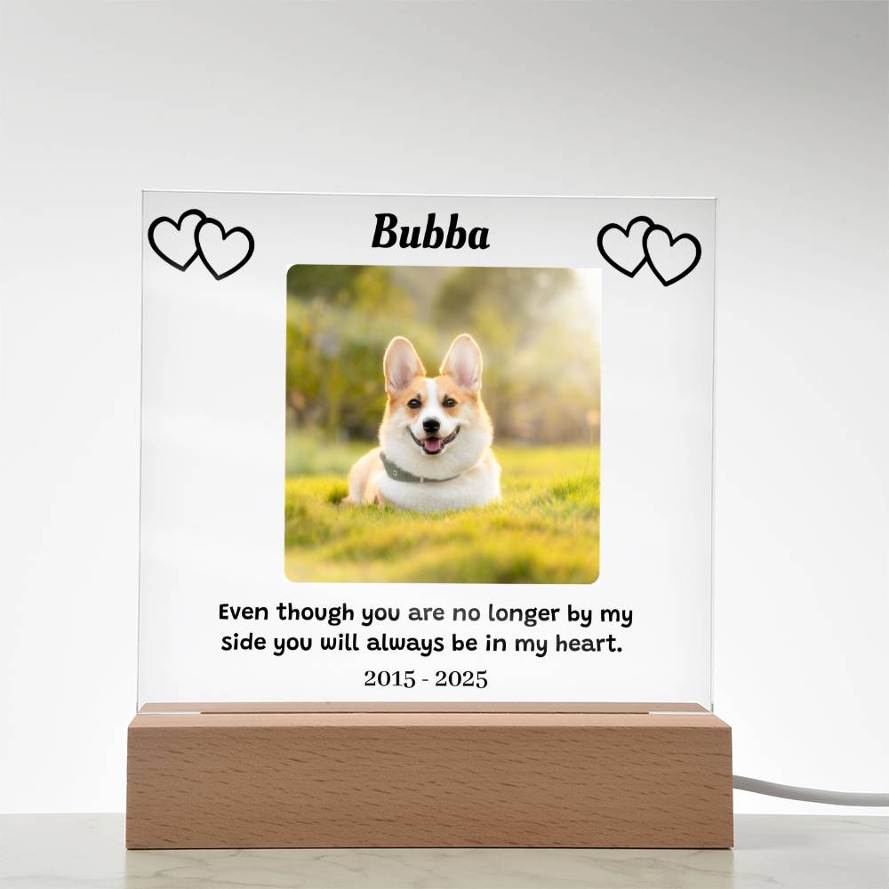 Custom Pet Memorial Plaque, Personalized Photo Acrylic Sign, LED Light Display Memorial Gift, Pet Loss Keepsake, Pet Tribute Plaque