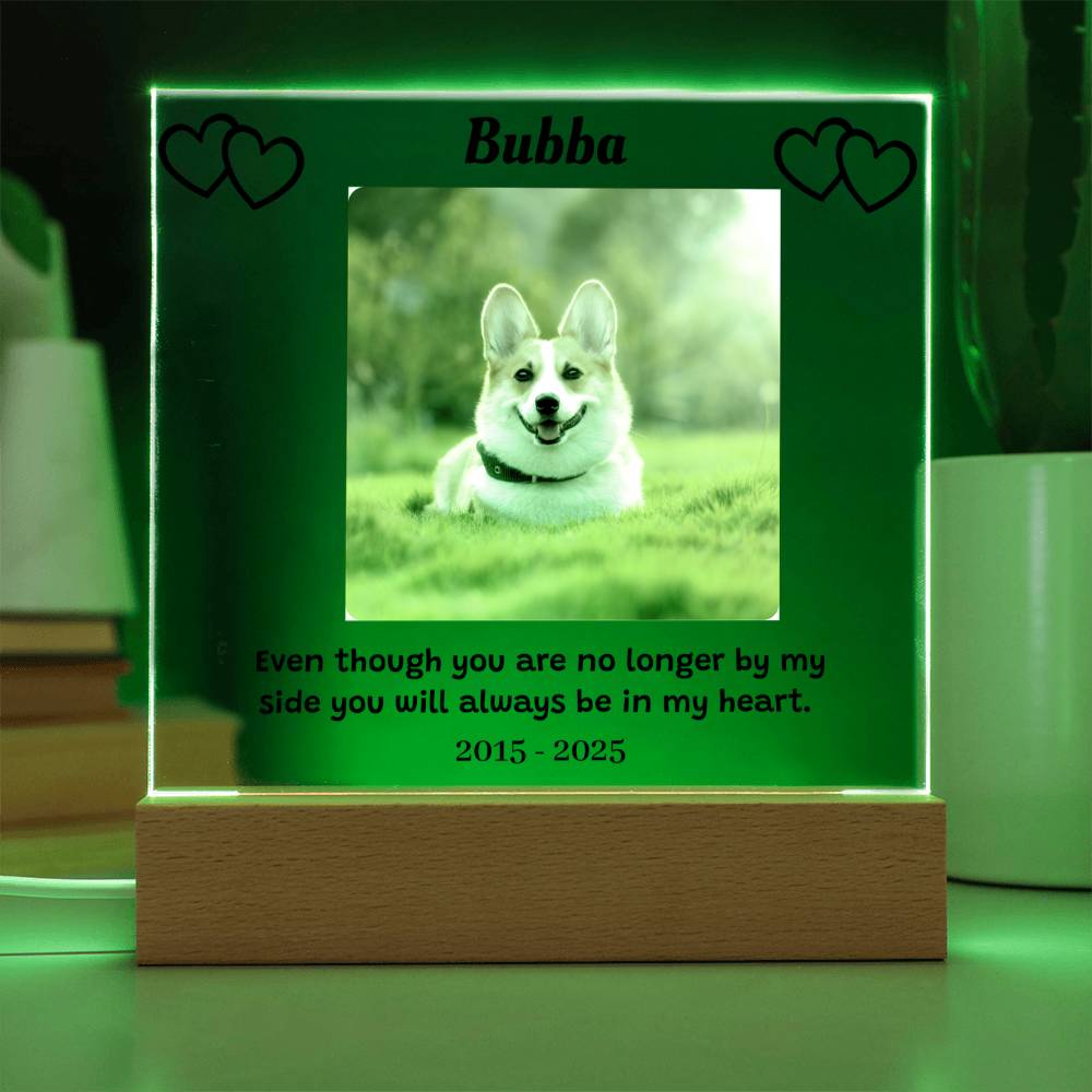 Custom Pet Memorial Plaque, Personalized Photo Acrylic Sign, LED Light Display Memorial Gift, Pet Loss Keepsake, Pet Tribute Plaque