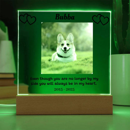 Custom Pet Memorial Plaque, Personalized Photo Acrylic Sign, LED Light Display Memorial Gift, Pet Loss Keepsake, Pet Tribute Plaque