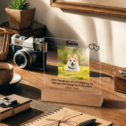 Custom Pet Memorial Plaque, Personalized Photo Acrylic Sign, LED Light Display Memorial Gift, Pet Loss Keepsake, Pet Tribute Plaque