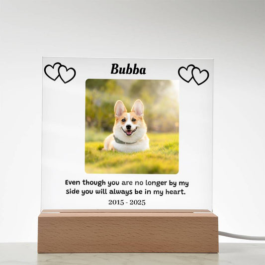 Custom Pet Memorial Plaque, Personalized Photo Acrylic Sign, LED Light Display Memorial Gift, Pet Loss Keepsake, Pet Tribute Plaque